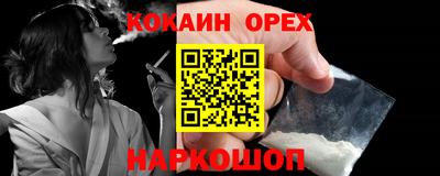 гидропоника Пенза
