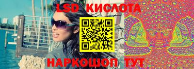 гидропоника Пенза