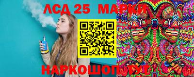 гидропоника Пенза