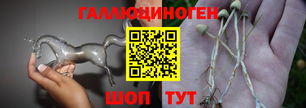 Сафоново  Галлюциногенные грибы мицелий  где продают наркотики  Вход с VPN 
